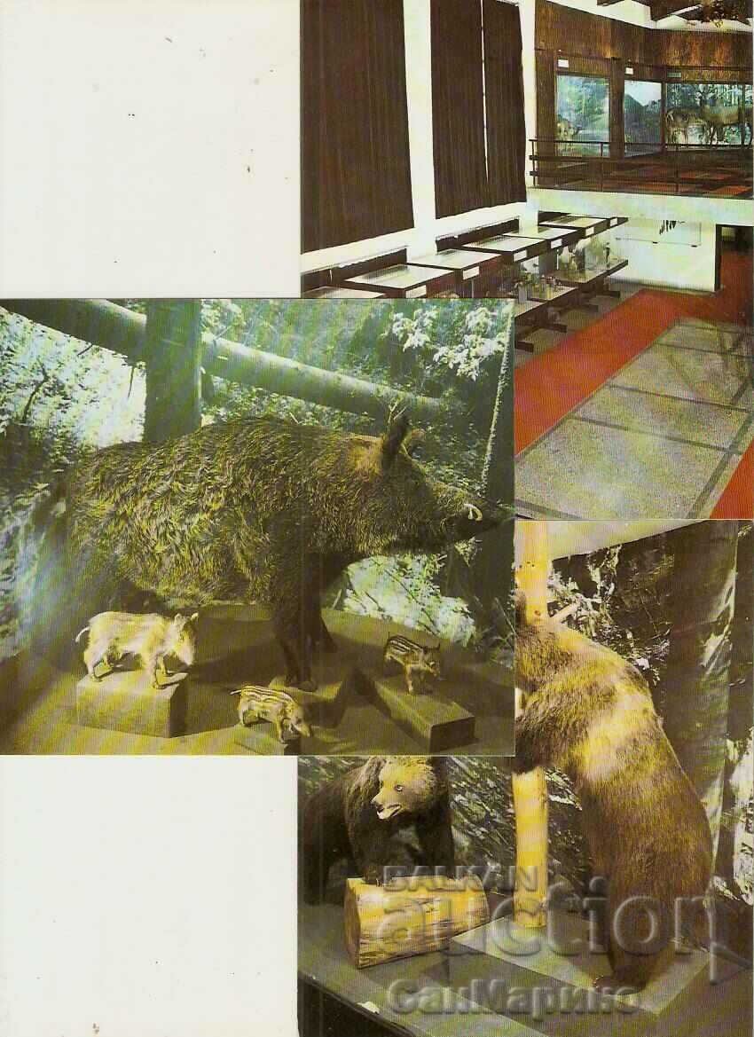 Auction Card Bulgaria village of Cherni Osam Album with views 15 pieces* Auction Card Bulgaria village of Cherni Osam Album with views 15 pieces*