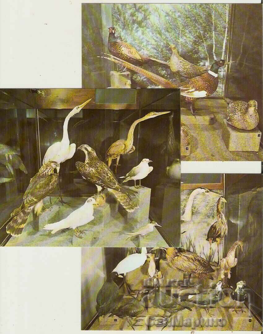 Card Bulgaria village of Cherni Osam Album with views 15 pieces* - 5 Card Bulgaria village of Cherni Osam Album with views 15 pieces* - 5