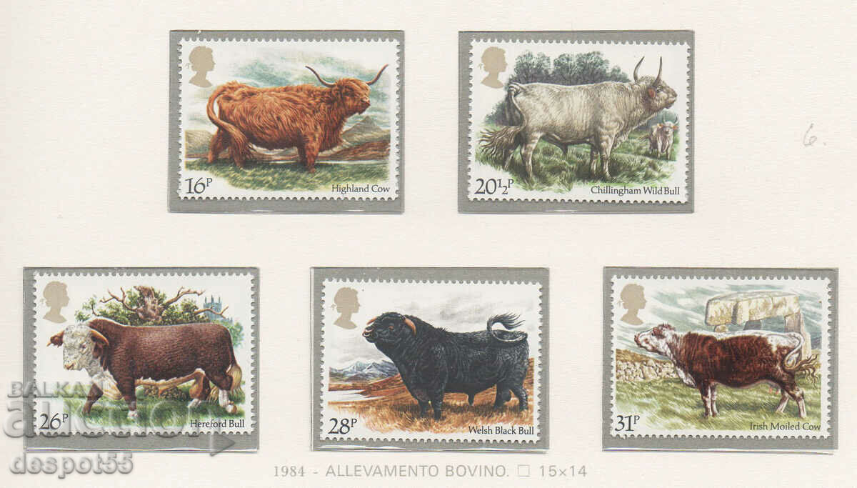 1984. Great Britain. National Cattlemen's Association.