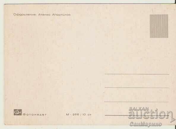 Card Bulgaria Plovdiv 13 * with price 0.80 BGN | € 0.41 Card Bulgaria Plovdiv 13 * with price 0.80 BGN | € 0.41