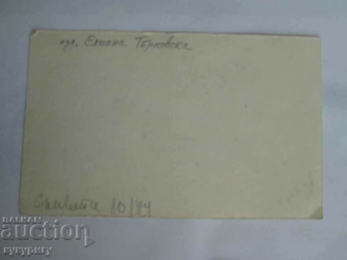 Auction  Drawing picture project illustration for children's magazine