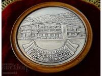 Panou din tablă, tablou în relief din Alpii Elvețieni