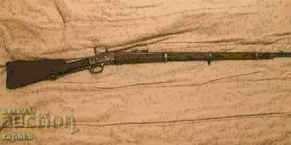 Remington Infantry Rifle, Remington Carbine, Remington