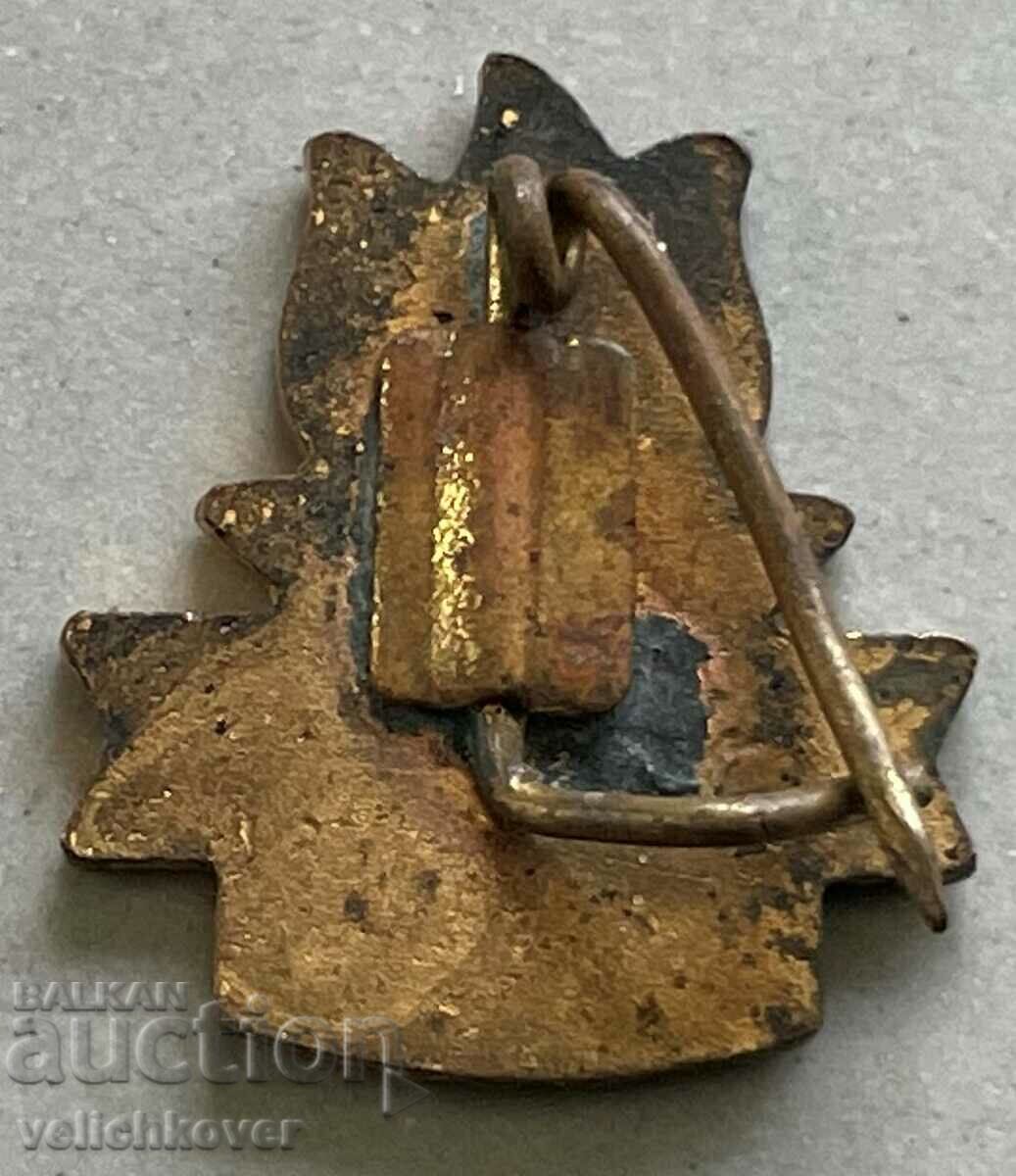 33421 Hungary sign Pioneer organization enamel with price 3.00 BGN | € 1.53 33421 Hungary sign Pioneer organization enamel with price 3.00 BGN | € 1.53