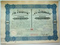 Μετοχή 100 BGN "Αγ. Γεωργίου" για τη βιομηχανία κλωστοϋφαντουργίας 1924