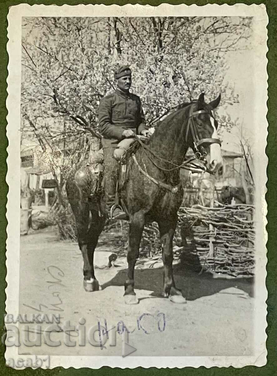 Σκόπια, 1943