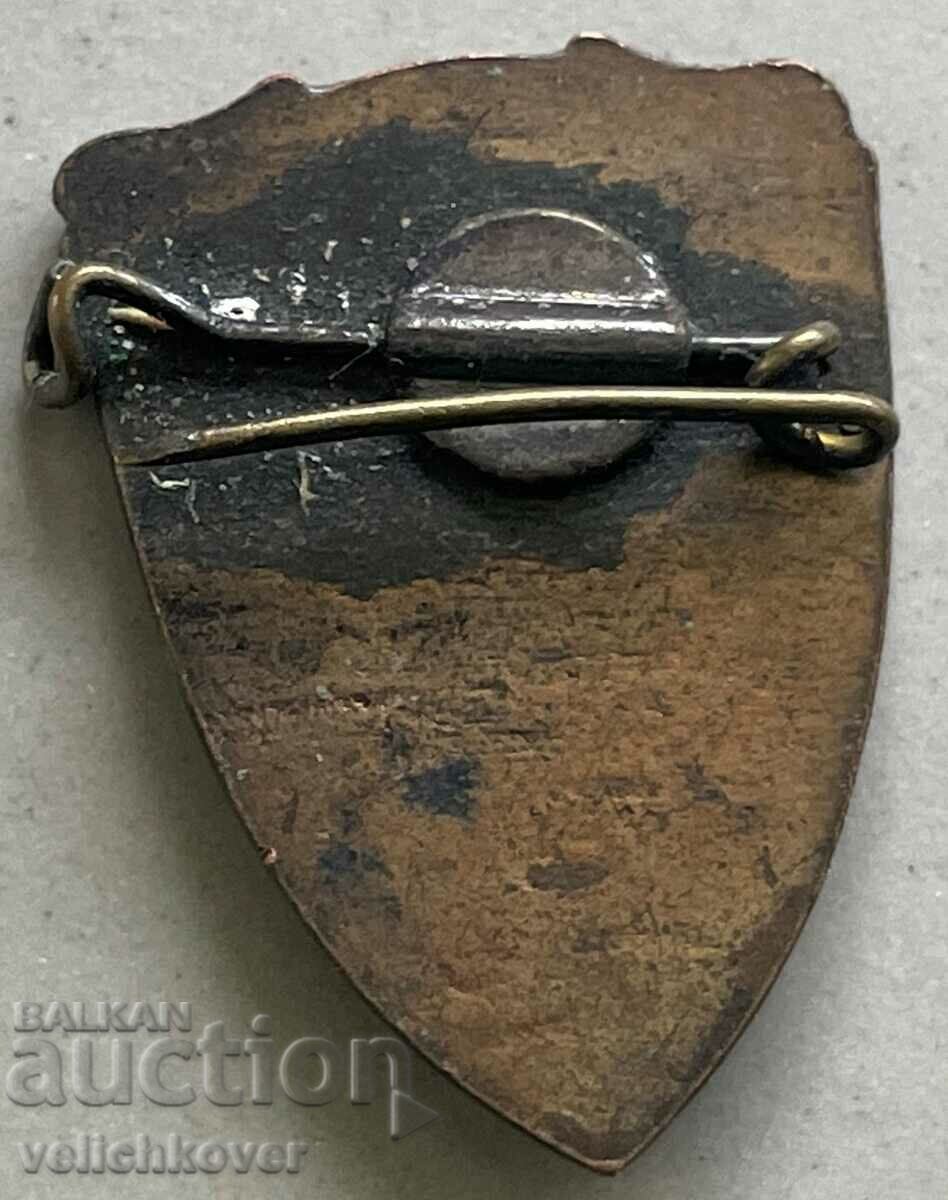 33426 Bulgaria sign coat of arms city of Ruse with price 3.00 BGN | € 1.53