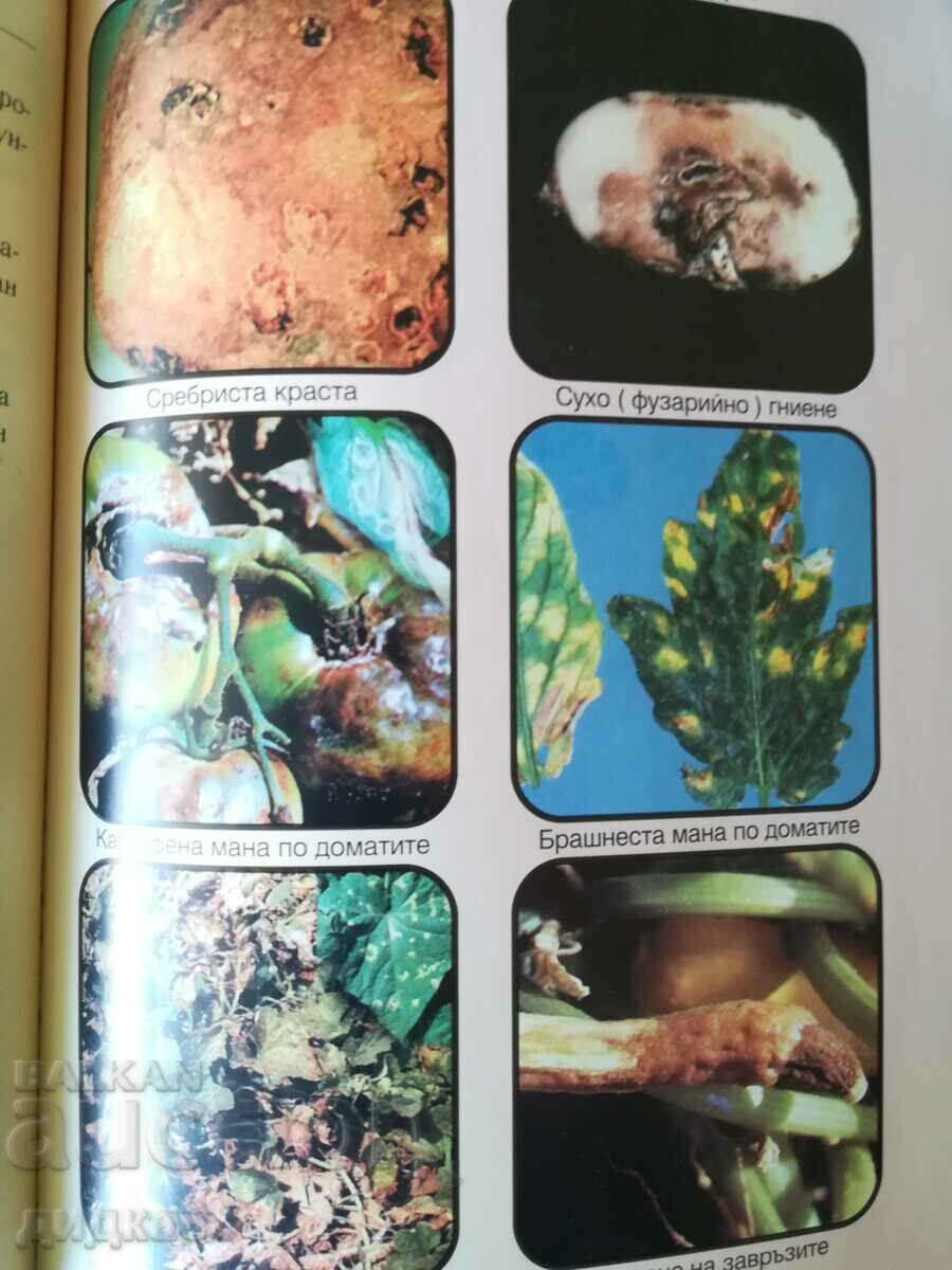 Plant protection calendar / Vasil Malinov with price 20.00 BGN | € 10.23 Plant protection calendar / Vasil Malinov with price 20.00 BGN | € 10.23