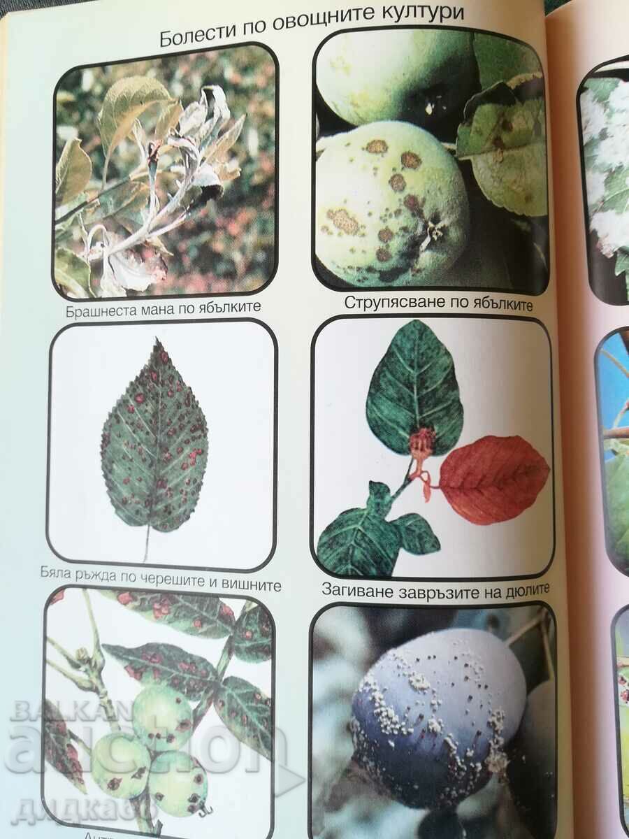 Auction Plant protection calendar / Vasil Malinov Auction Plant protection calendar / Vasil Malinov