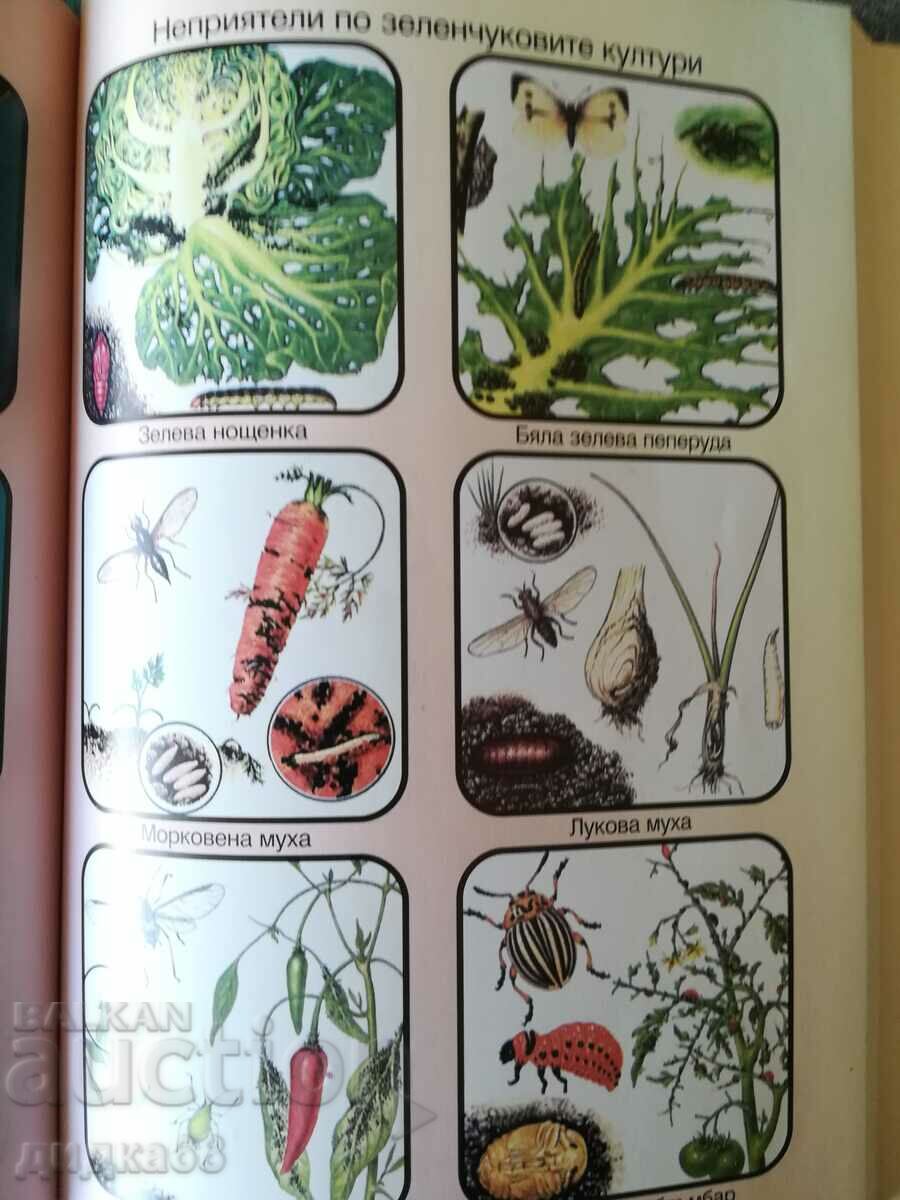 Plant protection calendar / Vasil Malinov - 5 Plant protection calendar / Vasil Malinov - 5