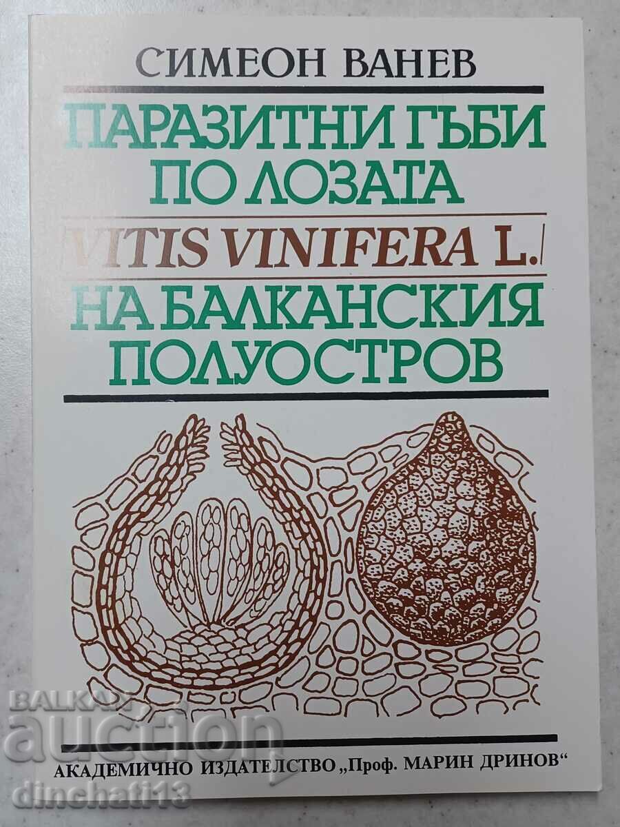 Παρασιτικοί μύκητες στο αμπέλι της Βαλκανικής Χερσονήσου: S. Vanev