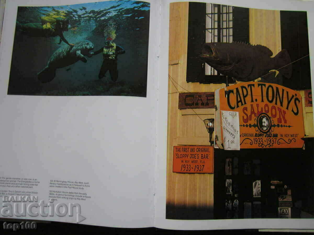 Δημοπρασία ΠΑΓΚΟΣΜΙΟ ΧΡΩΜΑ ΑΛΜΠΟΥΜ ΔΙΑΚΟΠΩΝ FLORIDA» ΑΠΟ ΤΟ 1992 BZC !!! Δημοπρασία ΠΑΓΚΟΣΜΙΟ ΧΡΩΜΑ ΑΛΜΠΟΥΜ ΔΙΑΚΟΠΩΝ FLORIDA» ΑΠΟ ΤΟ 1992 BZC !!!