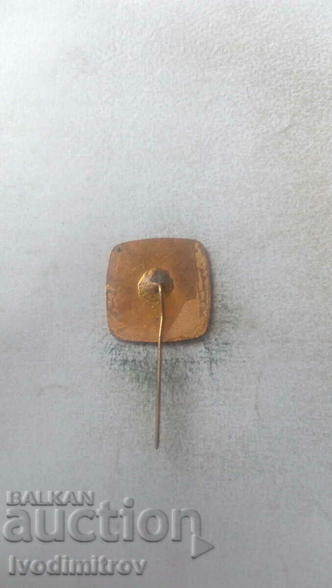 Competition Winner Badge with price 2.75 BGN | € 1.41 Competition Winner Badge with price 2.75 BGN | € 1.41