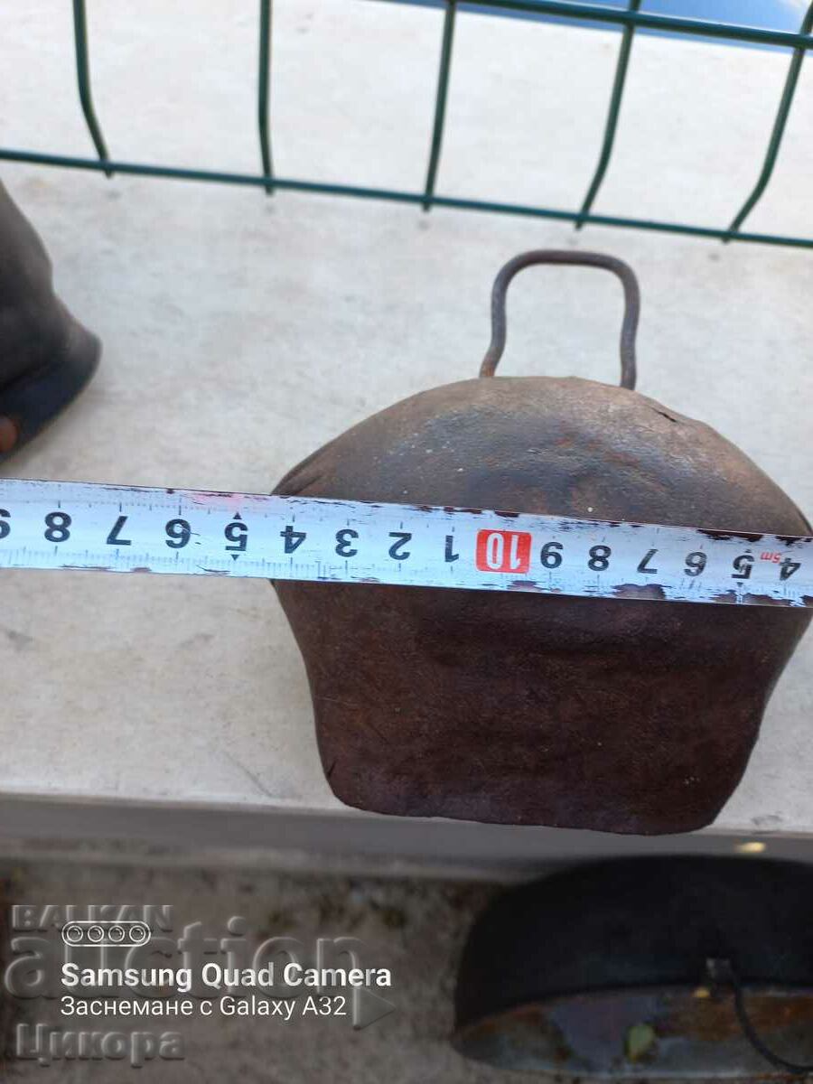 Delivery of BIG OLD GIRL CHAN BELL