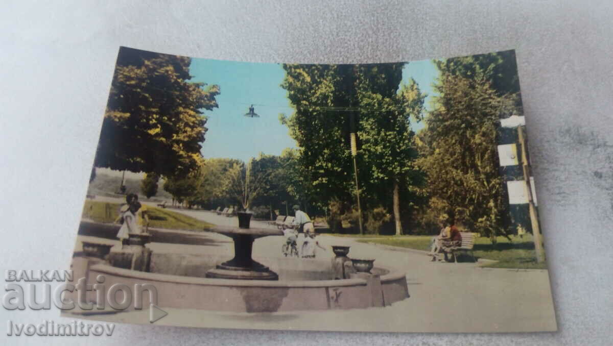Postcard Silistra The Park by the Danube