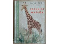 Carte - „Vânătorii de girafe” - Maine Reid