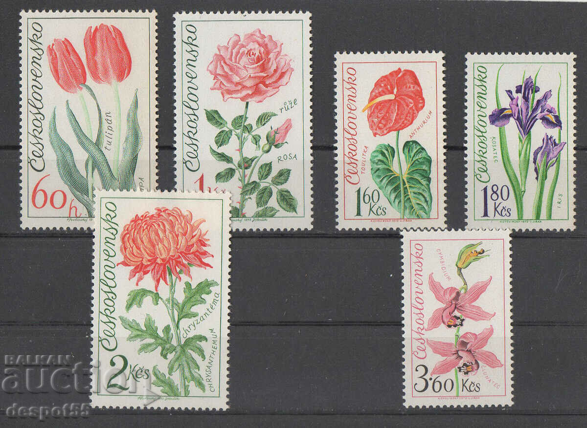 1973. Τσεχοσλοβακία. Έκθεση λουλουδιών στο Όλομουτς.