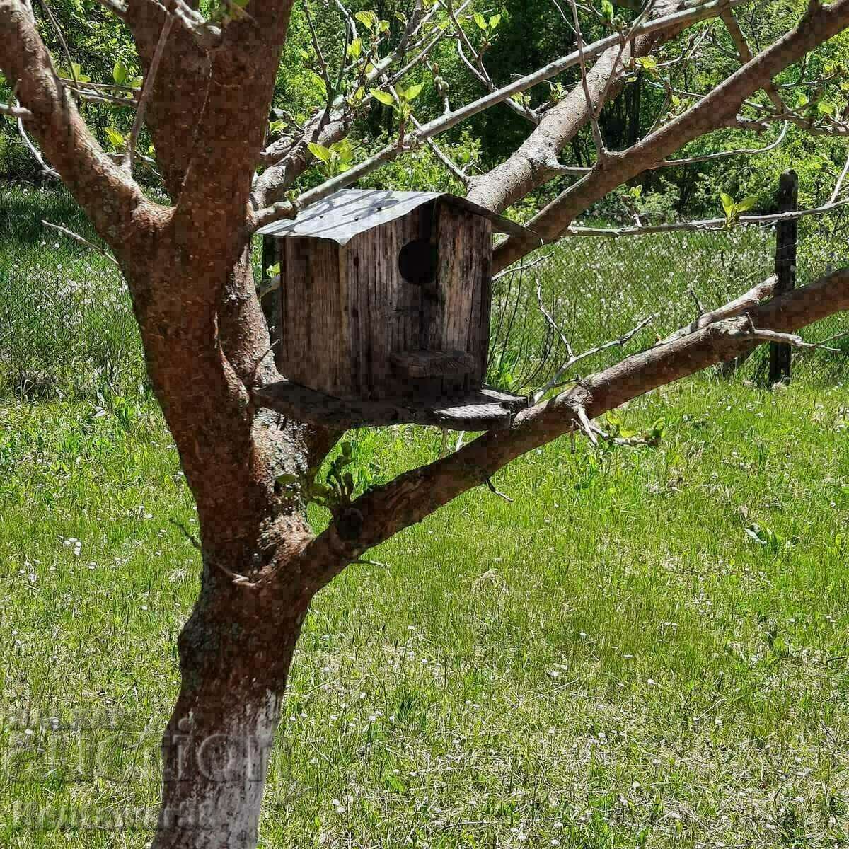 Παλιό ξύλινο σπίτι για πουλιά.