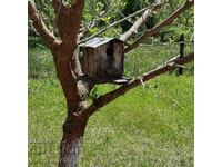 Old wooden house for birds.
