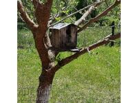 Old wooden house for birds.