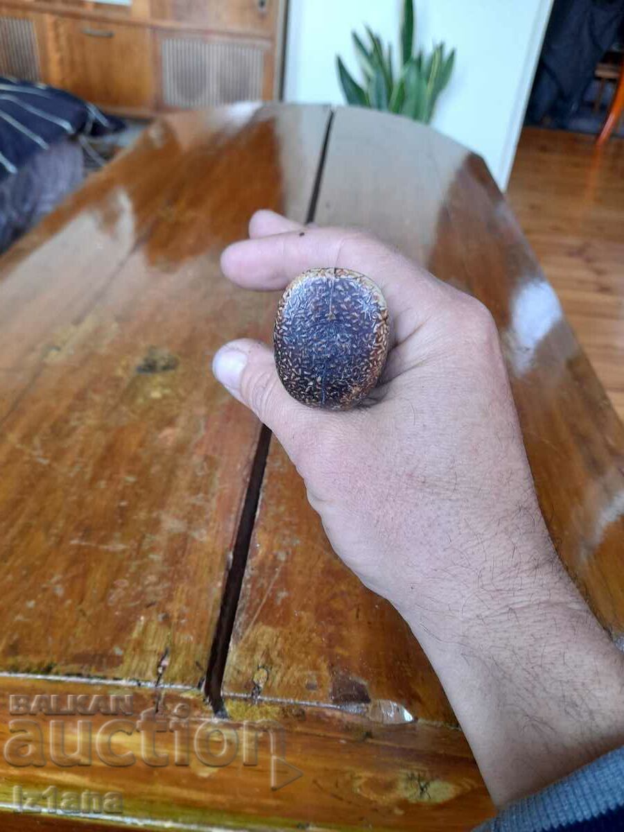 An old gear lever - 5 An old gear lever - 5