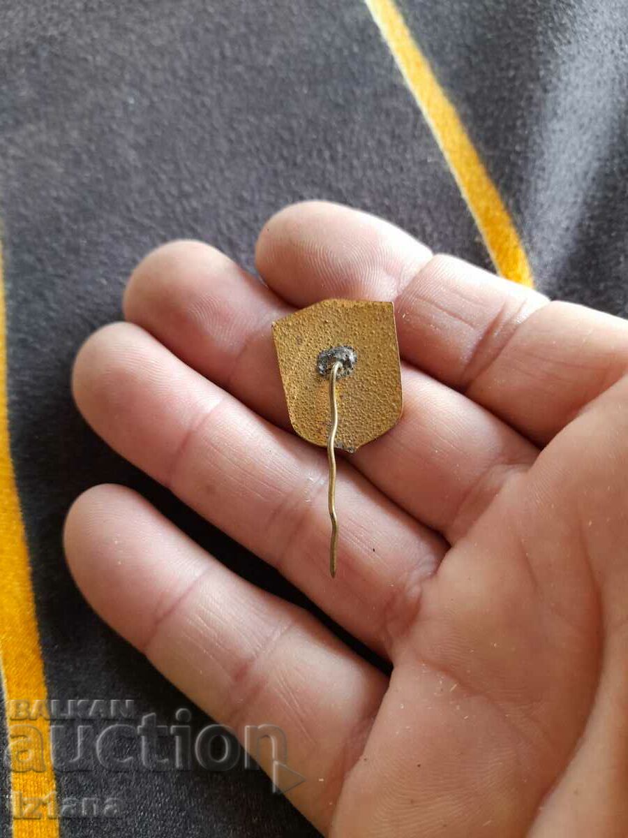 Auction Old badge Ready for GO NRB Auction Old badge Ready for GO NRB