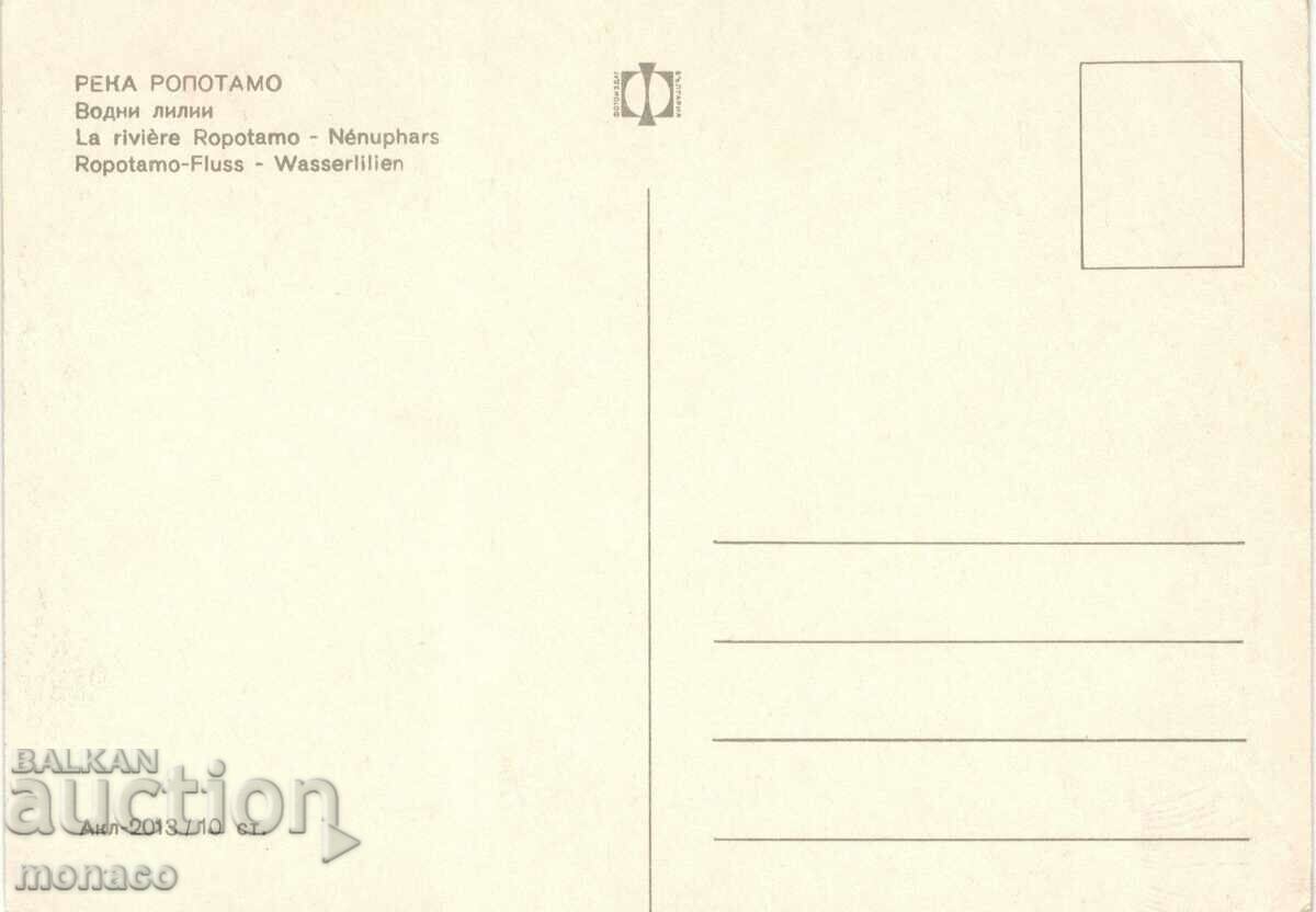 Old postcard - Ropotamo river, Water lilies with price 0.70 BGN | € 0.36