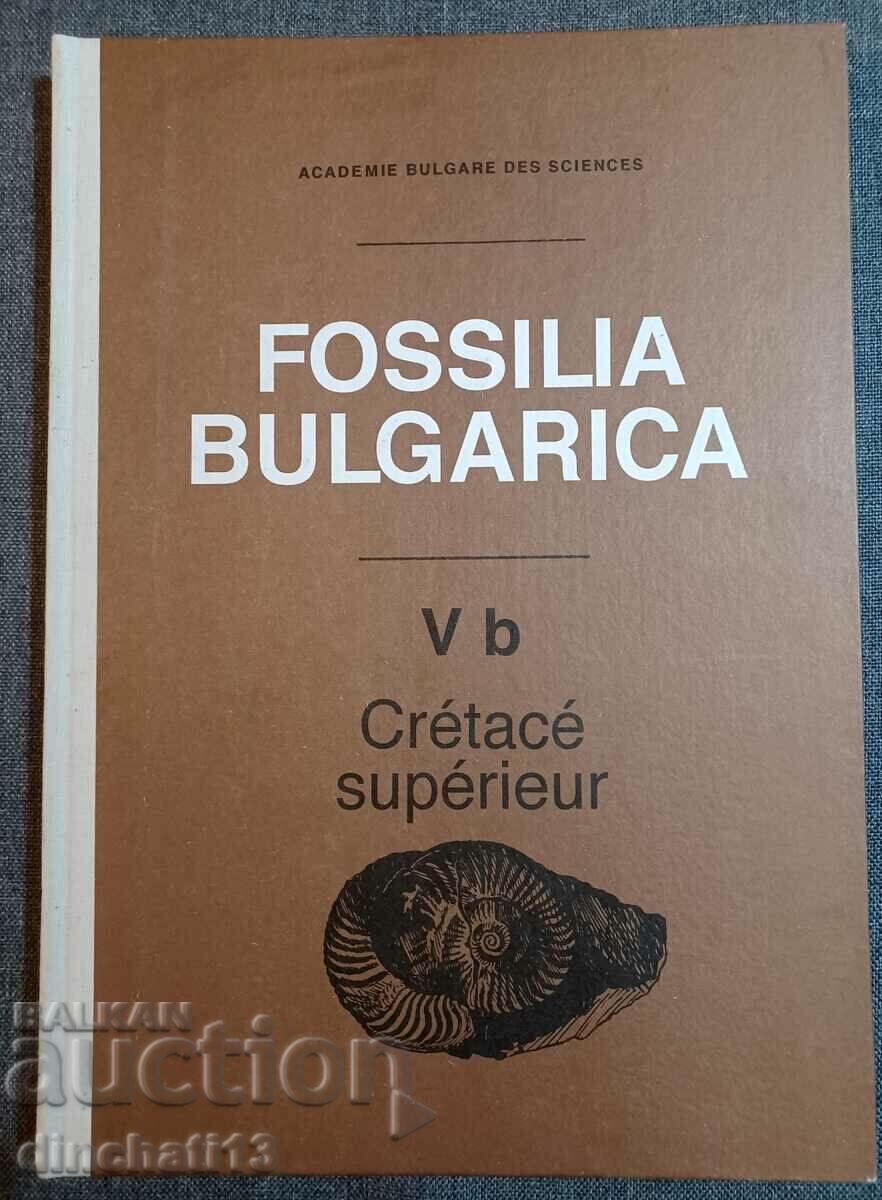 Fossilia Bulgarica. Volume 5b: Crétacé Supérieur. The fossils