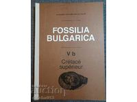 Fossilia Bulgarica. Том 5б: Crétacé Supérieur. Фосилите