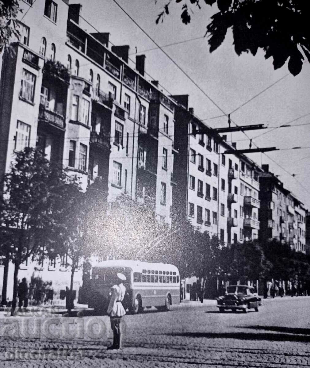 Licitație Poliția rutieră - Sofia răscruce de timp: V. Stoevski, B. Belenski