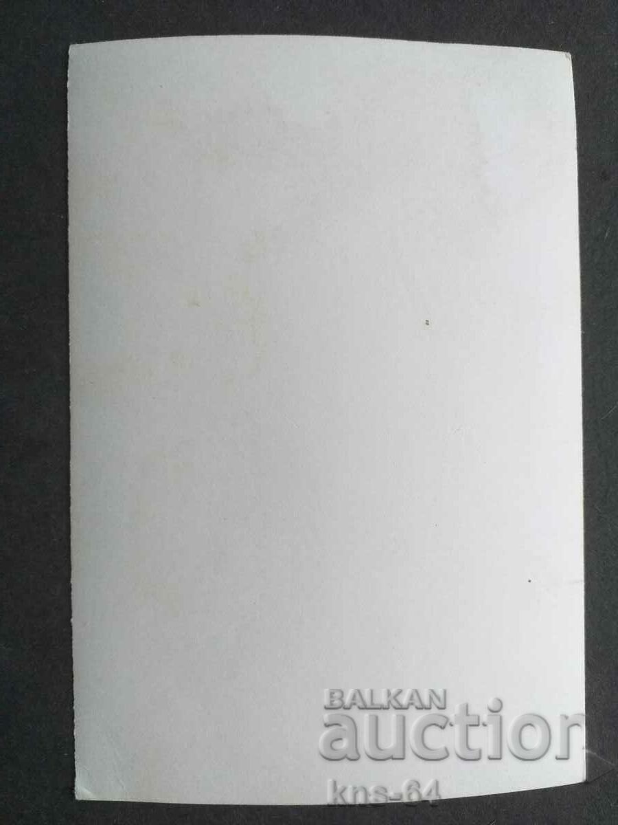 Beautiful Brenna with price 2.00 BGN | € 1.02 Beautiful Brenna with price 2.00 BGN | € 1.02