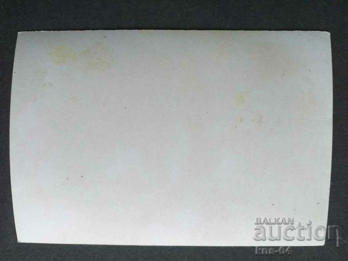 Beautiful Brenna with price 2.00 BGN | € 1.02 Beautiful Brenna with price 2.00 BGN | € 1.02