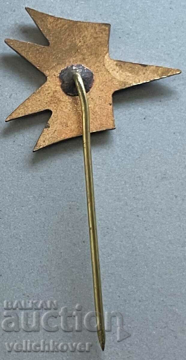 33521 Bulgaria airline mark Balkan enamel 60s. with price 4.00 BGN | € 2.05 33521 Bulgaria airline mark Balkan enamel 60s. with price 4.00 BGN | € 2.05