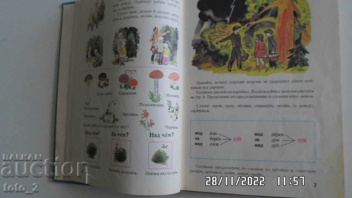 Delivery of RUSSIAN LANGUAGE IN PICTURES