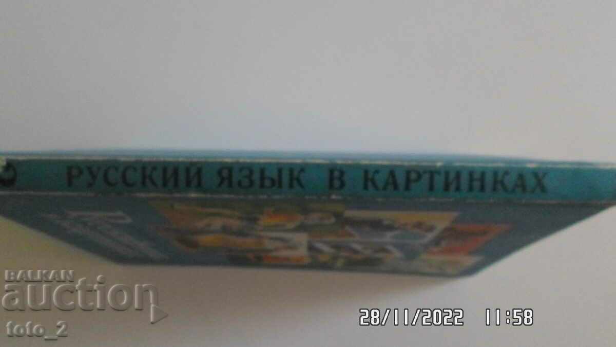RUSSIAN LANGUAGE IN PICTURES - 6