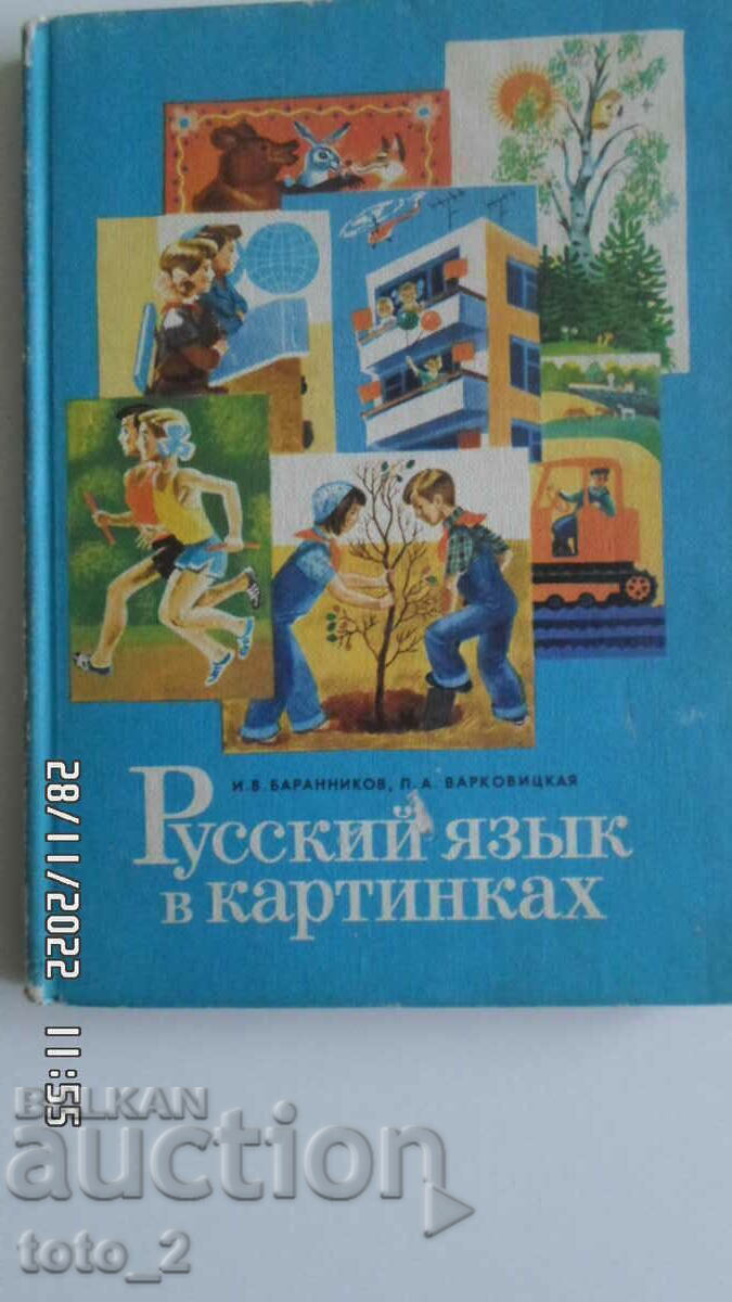 RUSSIAN LANGUAGE IN PICTURES