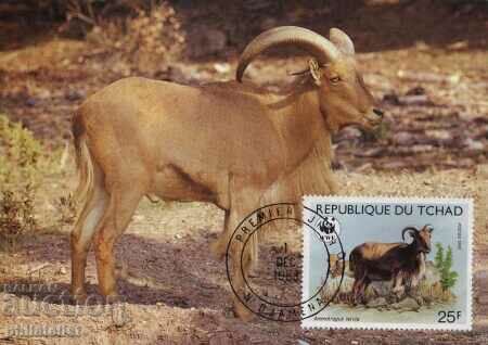 Chad 1988 - 4 cards Maximum - WWF with price 4.00 BGN | € 2.05 Chad 1988 - 4 cards Maximum - WWF with price 4.00 BGN | € 2.05