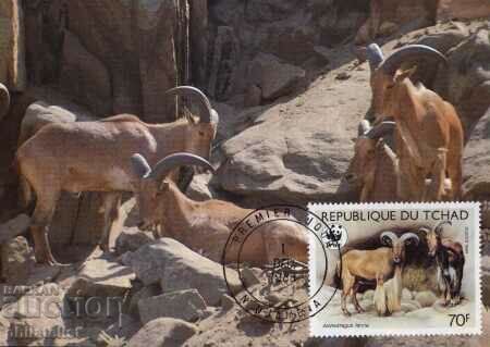 Delivery of Chad 1988 - 4 cards Maximum - WWF Delivery of Chad 1988 - 4 cards Maximum - WWF