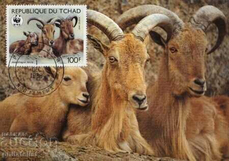 Auction Chad 1988 - 4 cards Maximum - WWF Auction Chad 1988 - 4 cards Maximum - WWF