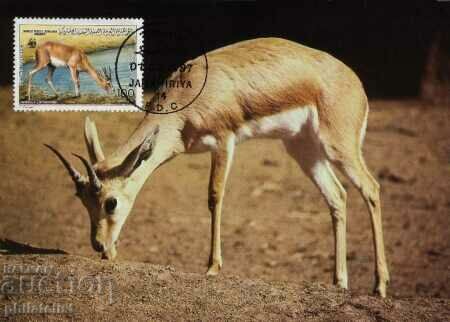 Libya 1987 - 4 cards Maximum - WWF with price 4.10 BGN | € 2.10 Libya 1987 - 4 cards Maximum - WWF with price 4.10 BGN | € 2.10