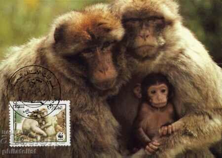 Auction Algeria 1988 - 4 cards Maximum - WWF Auction Algeria 1988 - 4 cards Maximum - WWF