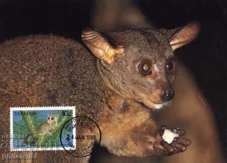 Tanzania 1989 - 4 cards Maximum - WWF with price 4.00 BGN | € 2.05 Tanzania 1989 - 4 cards Maximum - WWF with price 4.00 BGN | € 2.05