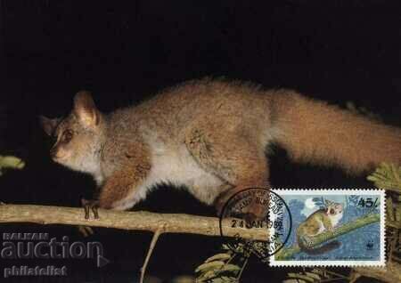 Delivery of Tanzania 1989 - 4 cards Maximum - WWF Delivery of Tanzania 1989 - 4 cards Maximum - WWF