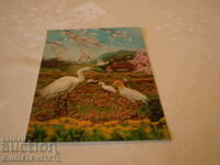 collectible Old 3D stereo cards made in Japan