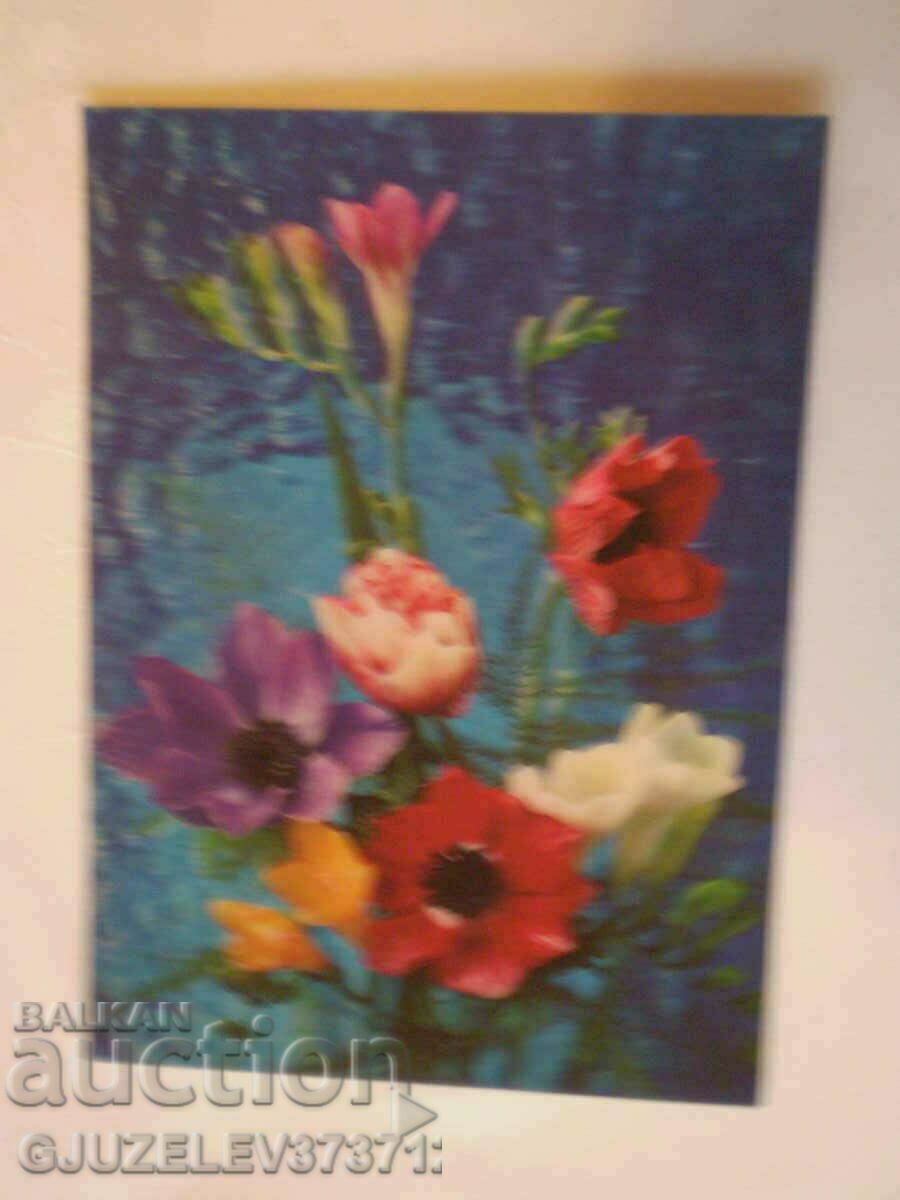 collectible stereo 3D cards made in Japan with price 29.00 BGN | € 14.83 collectible stereo 3D cards made in Japan with price 29.00 BGN | € 14.83