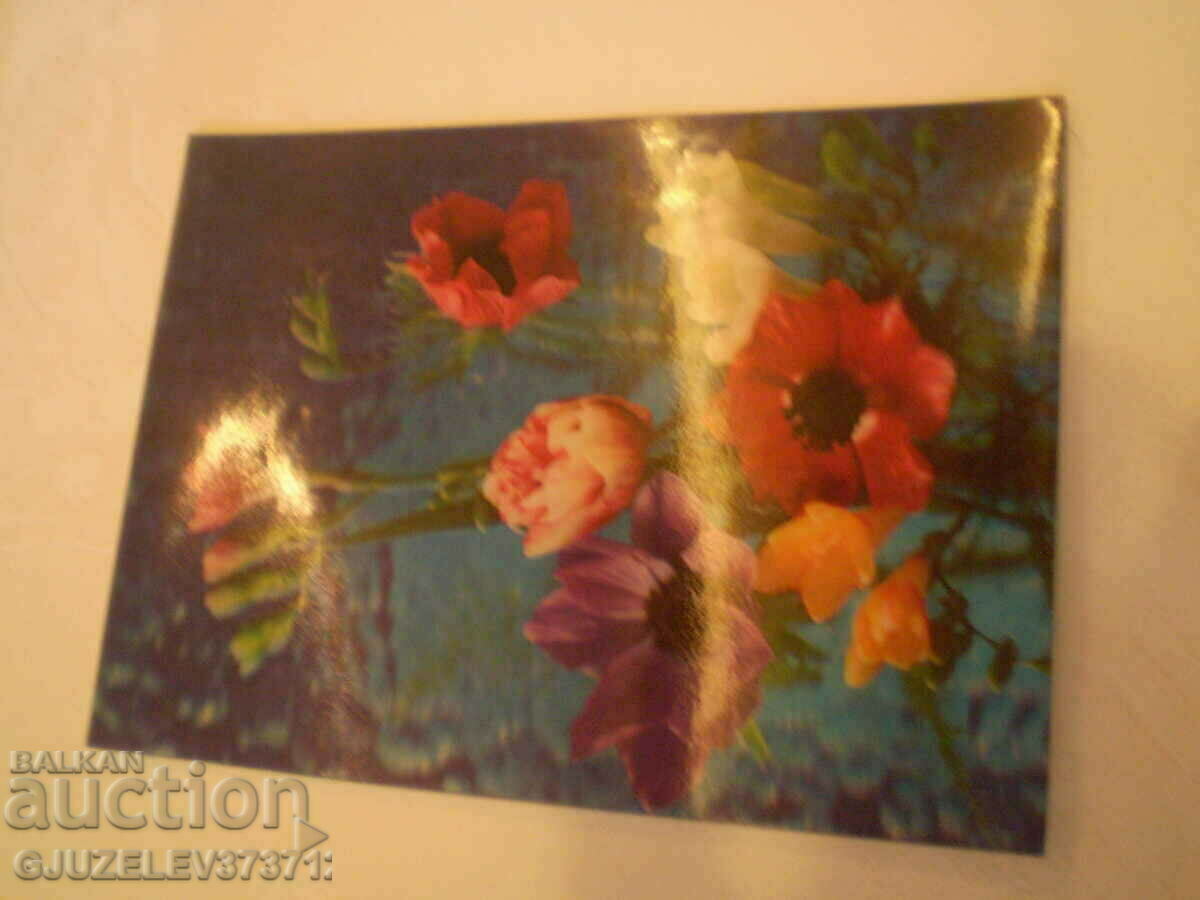 collectible stereo 3D cards made in Japan - 6 collectible stereo 3D cards made in Japan - 6