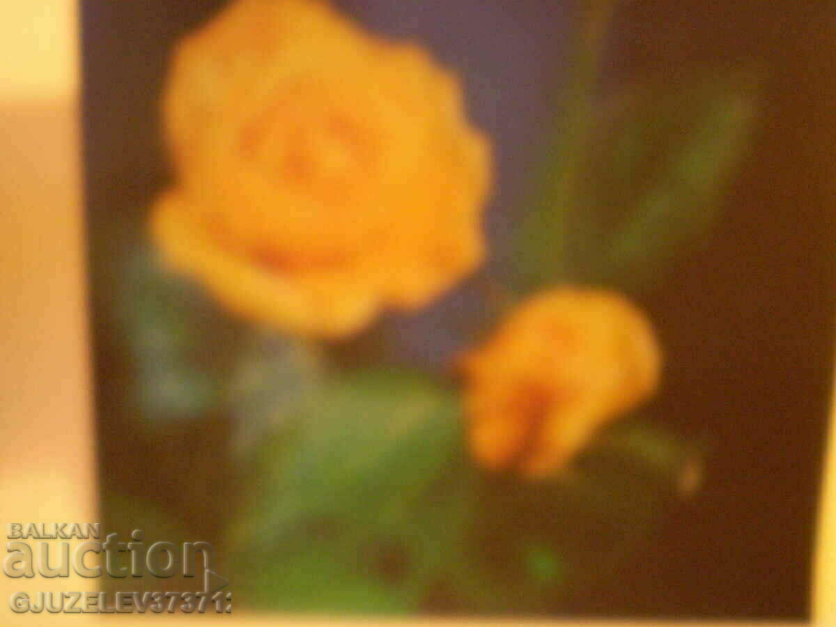 Auction collectible stereo card produced in the period 1970-1980 Auction collectible stereo card produced in the period 1970-1980