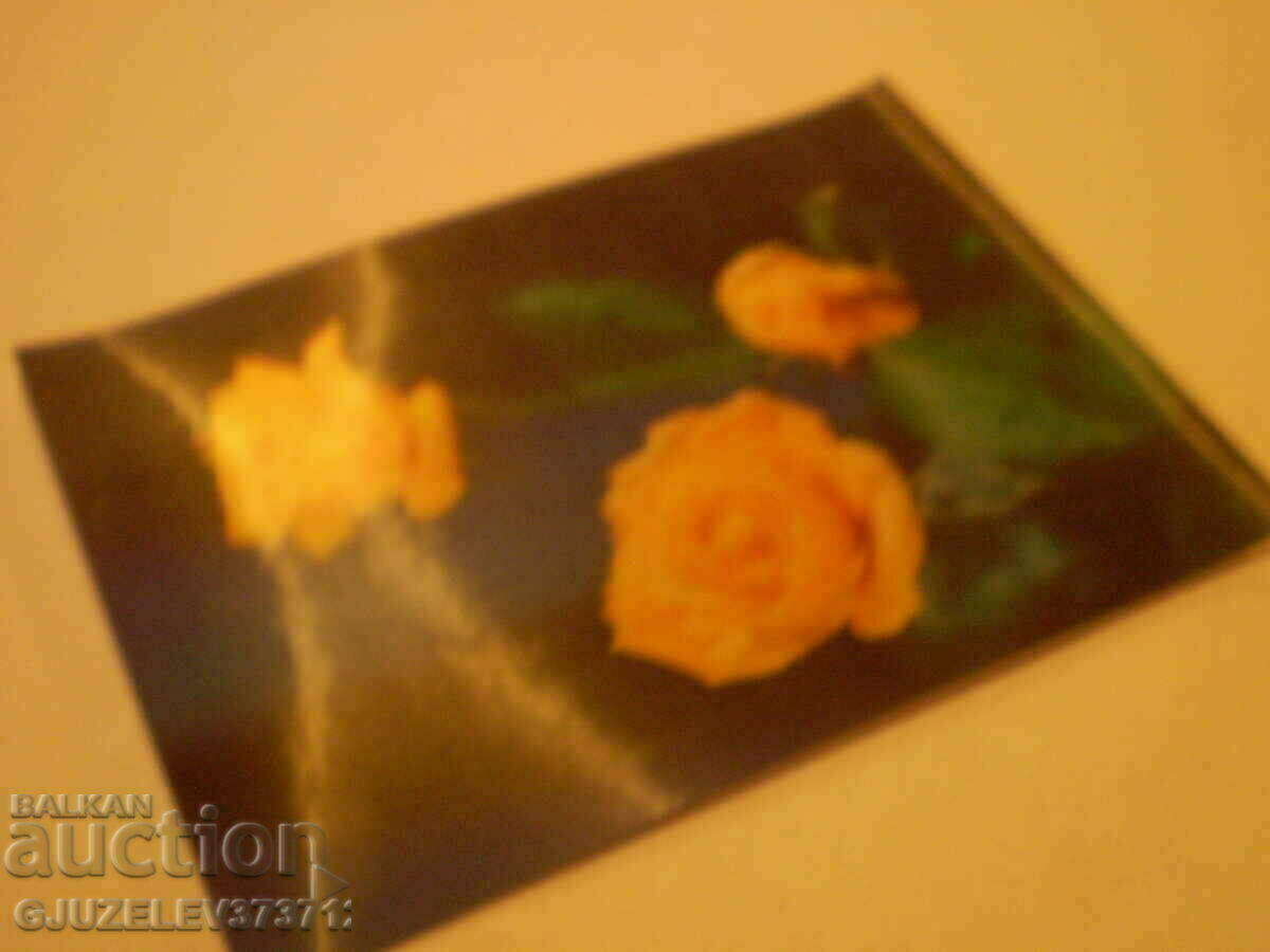 collectible stereo card produced in the period 1970-1980 - 5 collectible stereo card produced in the period 1970-1980 - 5