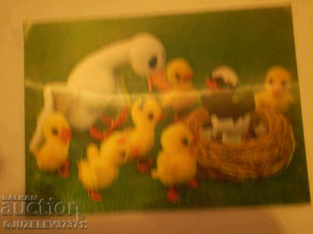 Auction collectible stereo card produced in the period 1970-1980 Auction collectible stereo card produced in the period 1970-1980