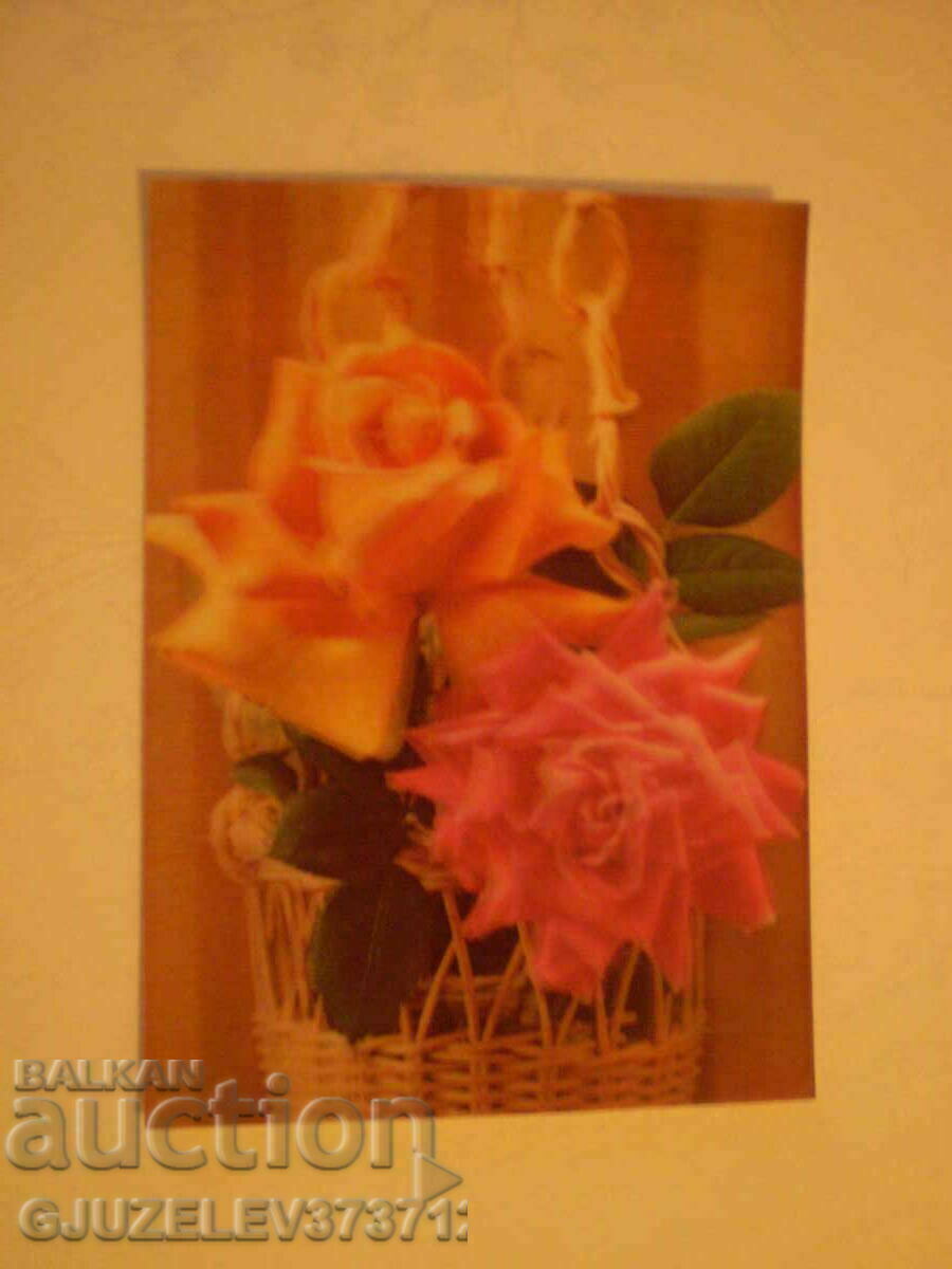 ΠΑΛΙΟ ΚΑΛΑΘΙ ΚΑΡΤΑΣ ΣΤΕΡΕΟ ZD ΜΕ ΤΡΙΑΝΤΑΦΥΛΛΑ - 6 ΠΑΛΙΟ ΚΑΛΑΘΙ ΚΑΡΤΑΣ ΣΤΕΡΕΟ ZD ΜΕ ΤΡΙΑΝΤΑΦΥΛΛΑ - 6